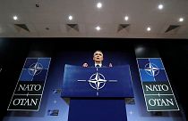 Tillerson: 'NATO müttefikleri savunma konusunda daha fazla harcama yapmalı'
