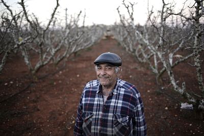 The Israeli military found more than apples in Haim Hod\'s orchard. Hezbollah miltants had dug a tunnel across the border from Lebanon.