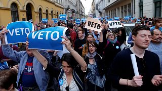 Ungarn: Parlament verabschiedet umstrittenes Hochschulgesetz - Proteste vor der CEU