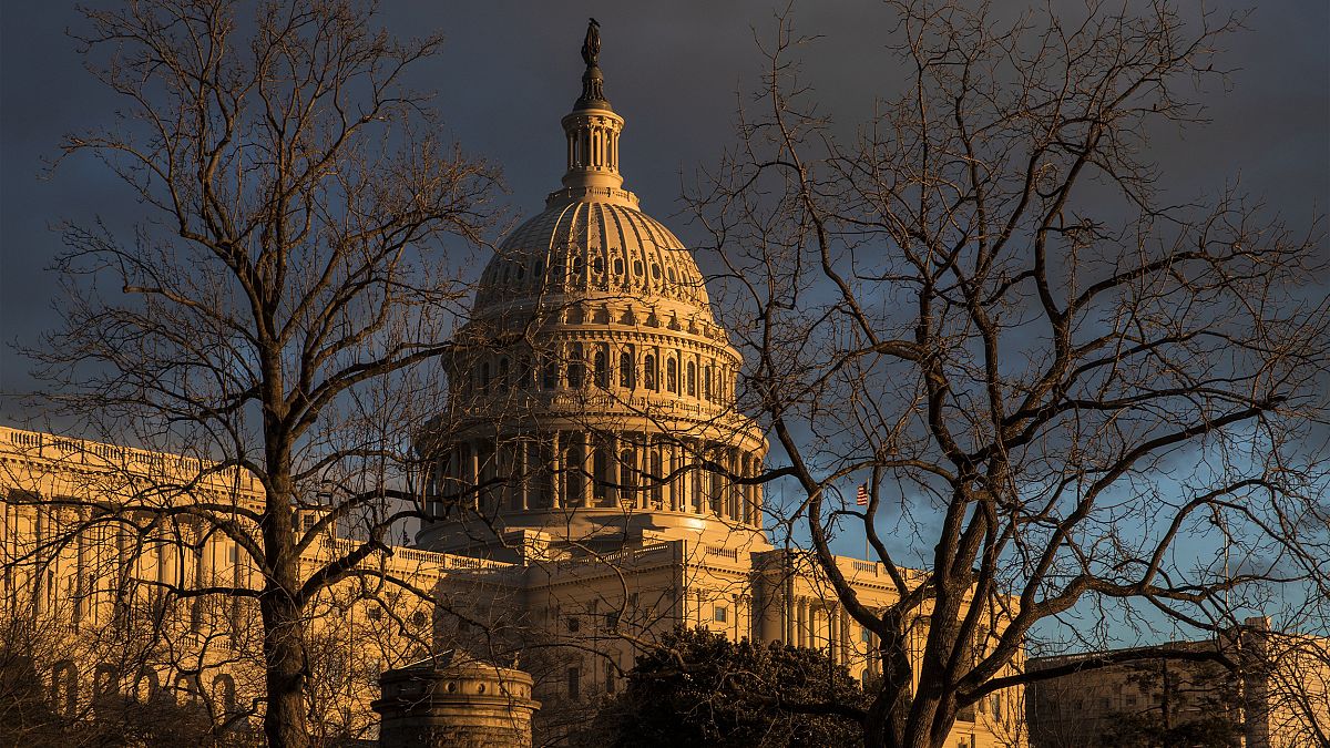 Image: The Capitol during the partial government shutdown in Washington on 
