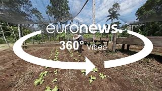 360° video: Food security programmes to reduce displacement in rural areas