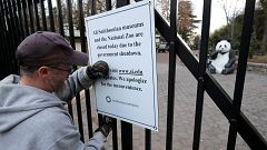 Image: A Smithsonian National Zoo employee removes a closure sign after the