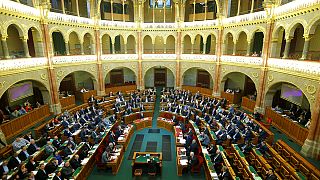 Hungary submits bill targeting NGOs