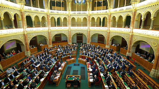 Hungary submits bill targeting NGOs Hungary submits bill targeting NGOs