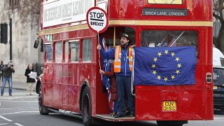 Image: Anti-Brexit protesters in London