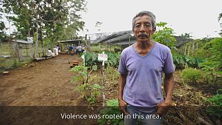 La Pedregosa: turning blood fields into green fields