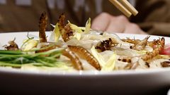 Insect noodles on the menu in Tokyo