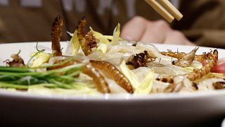 Insect noodles on the menu in Tokyo