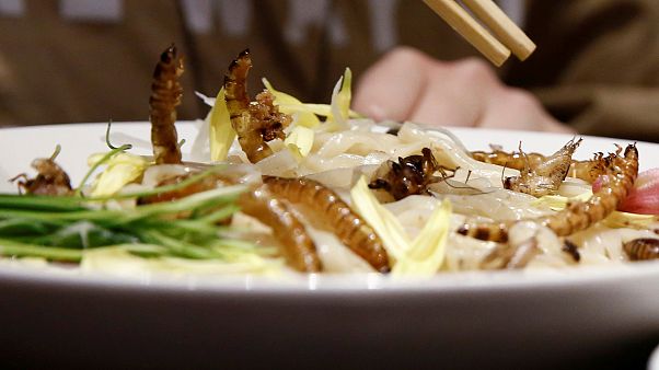 Insect noodles on the menu in Tokyo Insect noodles on the menu in Tokyo