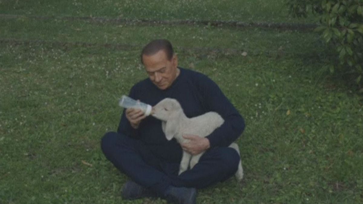 Berlusconi features in vegetarian video campaign and 'saves' five lambs
