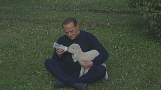 Berlusconi features in vegetarian video campaign and 'saves' five lambs