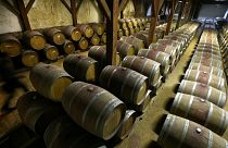 کاهش ۳ درصدی تولید شراب در جهان