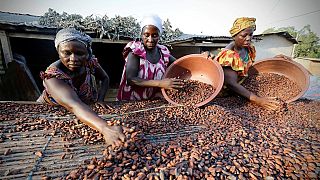 Ivory Coast and Ghana unite to fight cocoa price volatility