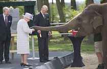 Elephants "excited" by banana-toting Queen Elizabeth
