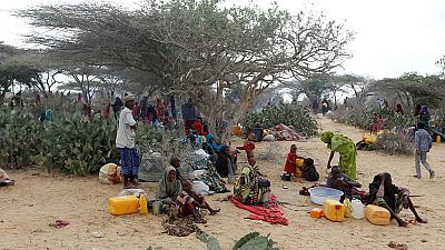 Le choléra gagne du terrain en Somalie, 25 000 personnes déjà touchées