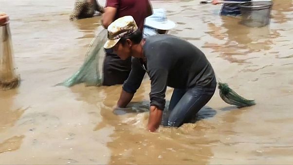 Des milliers de personnes à la pêche pour le festival de Shenyu Des milliers de personnes à la pêche pour le festival de Shenyu