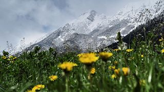 En plein printemps, de la neige sur une bonne partie de l'Europe