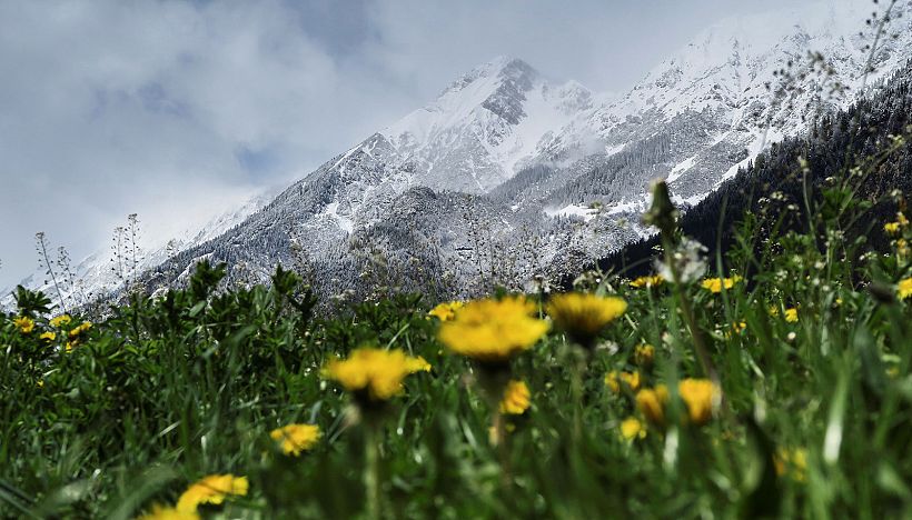 Central Europe shivers as snow covers spring blossoms | Euronews