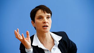 İslam karşıtı AfD Partisi Başkanı Frauke Petry seçim kampanyasında yok