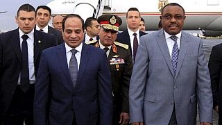 Egypt pledges to stop anti-peace forces threatening Ethiopia