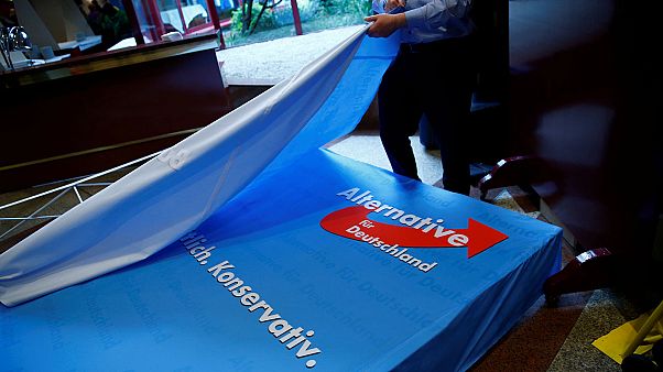 Германия: евроскептики АдГ определили кандидатов на выборы в бундестаг Германия: евроскептики АдГ определили кандидатов на выборы в бундестаг