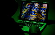 Image: A person sits in front of a computer screen