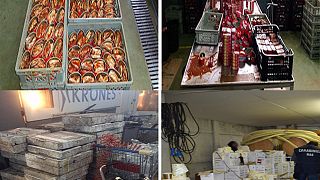 Golpe al tráfico ilegal de alimentos falsificados en 61 países