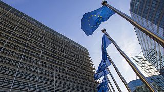 The Brief from Brussels: Brüssel stellt Sozialcharta vor