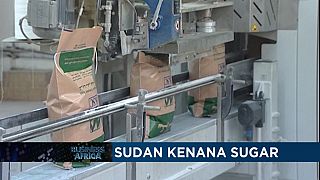 Croissance mondiale en Afrique subsaharienne et production de sucre au Soudan