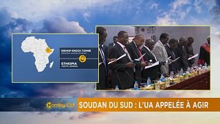 South Sudan activists approach AU to end crisis [The Morning Call]