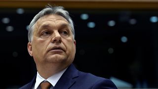 The EU's war of words with Hungary intensifies as Verhofstadt slams Orban in Parliament rant