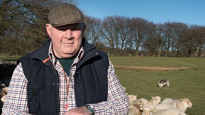 William Jenkins is a farmer in Blaenau Gwent, the county in Wales with the highest percentage of voters who backed leaving the E.U. in the 2016 Brexit referendum.