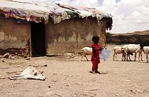 Somalia: la sequía extrema pone al país al borde de la hambruna