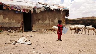 Somaliland: a un passo dalla carestia