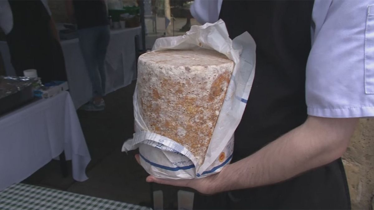 UK: cheese rolling drama in Stilton