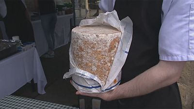 مسابقه سنتی غلطاندن پنیر در بریتانیا