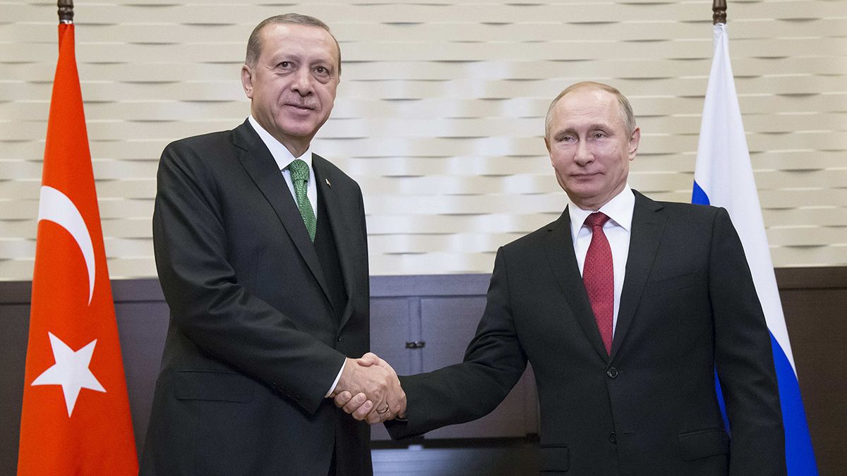 Путин и Эрдоган обсудили создание зон деэскалации в Сирии