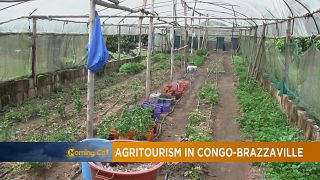 Congo : gros plan sur l'agritourisme