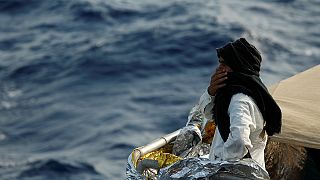 Italienische Flüchtlingslager liefern vermutlich Arbeitskräfte direkt auf die Felder