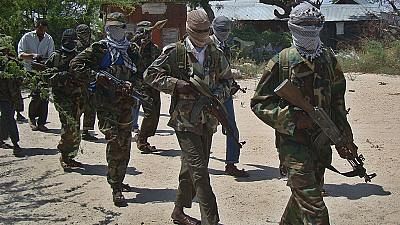 Senior al Shabaab chief, 3 other fighters killed in Somalia raid