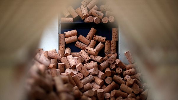 La renaissance du bouchon de liège fait le bonheur du Portugal La renaissance du bouchon de liège fait le bonheur du Portugal