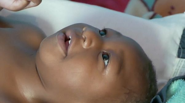 Brasil retira estado de emergência por causa do Zika Brasil retira estado de emergência por causa do Zika