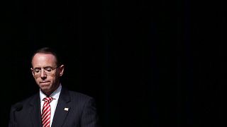 Image: Rod Rosenstein