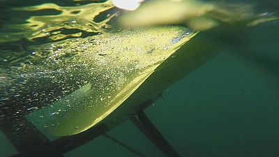 An underwater kite built to harness tidal energy