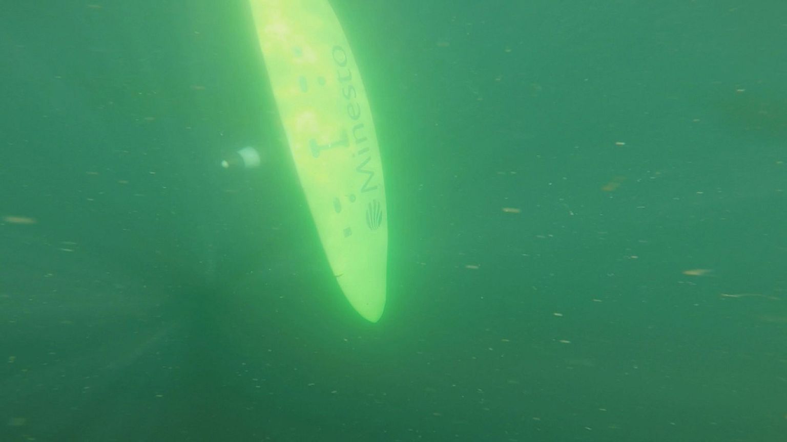 Takeaway: deep green