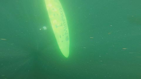 Takeaway: deep green