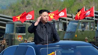 North Korean test missile 'capable of carrying nuclear warhead'