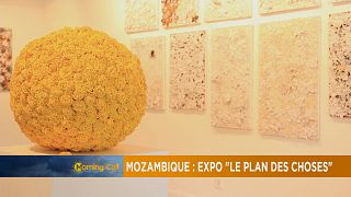 Mozambique : gros plan sur l'exposition "le Plan des Choses"
