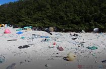 جزیره هندرسون در جنوب اقیانوس آرام آلوده ترین نقطه جهان