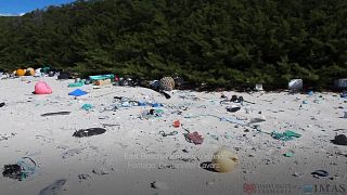 Güney Pasifik'te ıssız bir adada 17 tondan fazla plastik atık bulundu